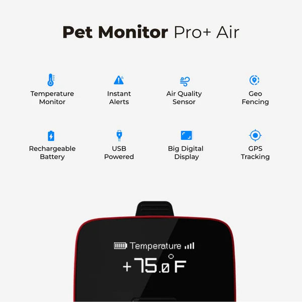 Waggle Pet Monitor and RV Cam AI Mini 64GB