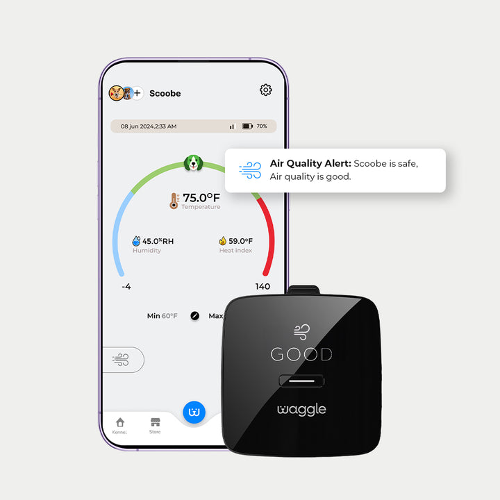 Waggle Pet Monitor