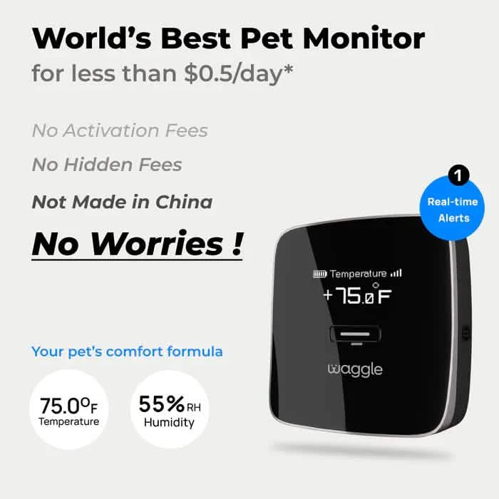 Waggle Pet Monitor + Monthly Plan