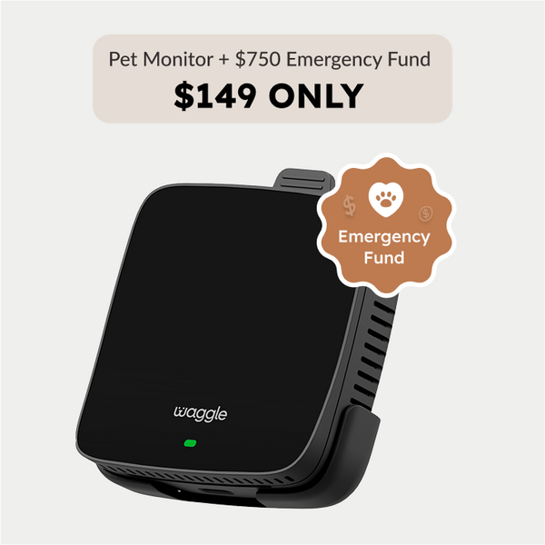 Pet Care Bundle