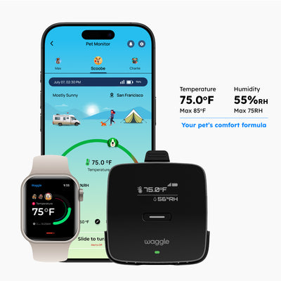 Pet Monitor Lite+