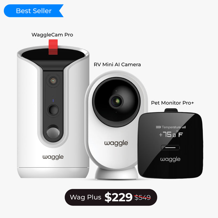 Paws & Go - Pro+ Bundle