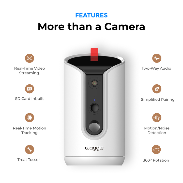 Paws & Go - Pro+ Bundle