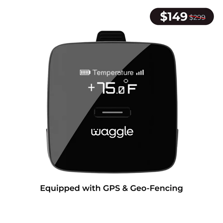 Paws & Go - Pro+ Bundle