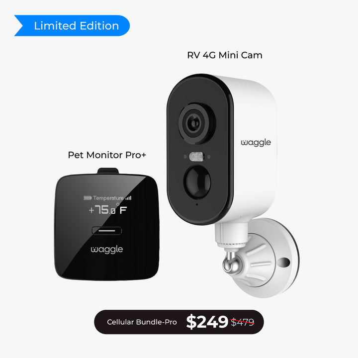 Paws & Go - Pro+ Bundle