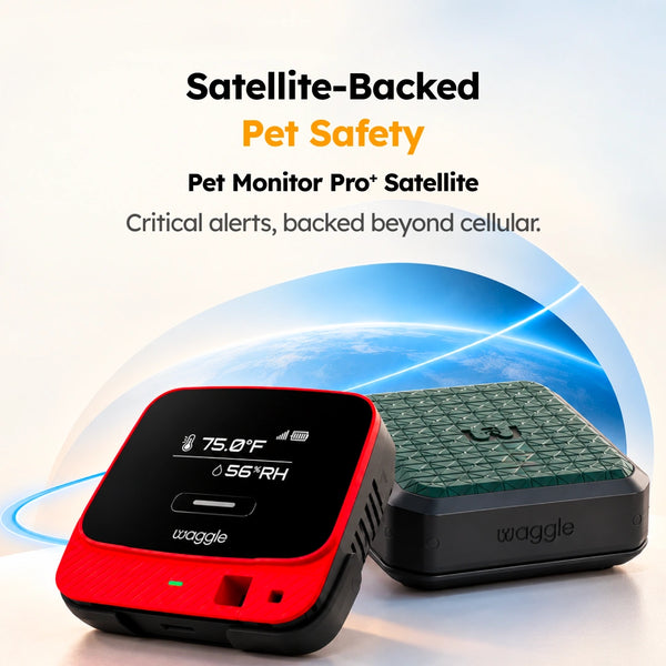 Pet Monitor Pro+ Satellite