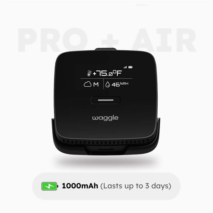 Waggle Pet Monitor