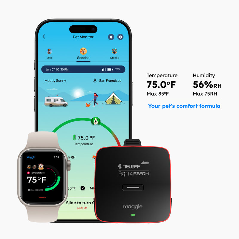 Waggle Pet Monitor