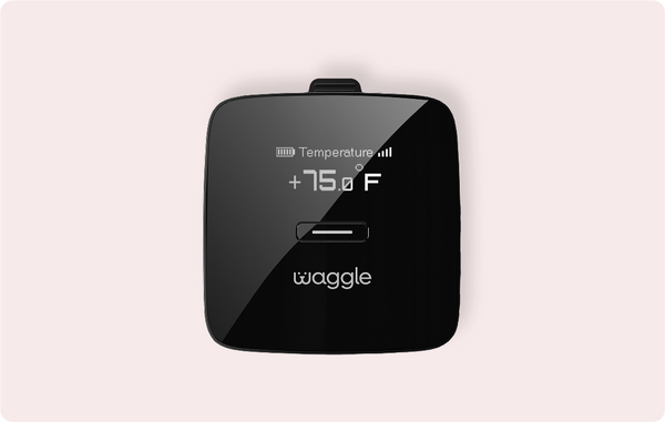 Buy Waggle Pet Monitor