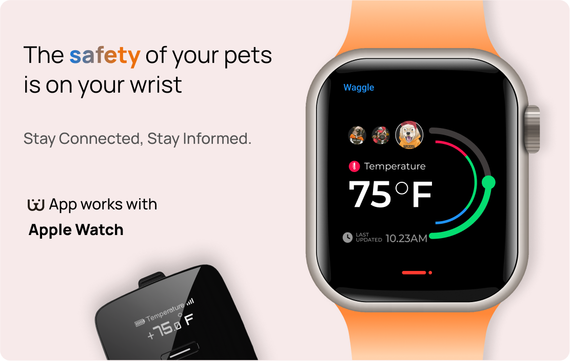 Buy Waggle Pet Monitor