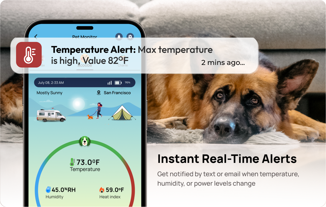 Buy Waggle Pet Monitor