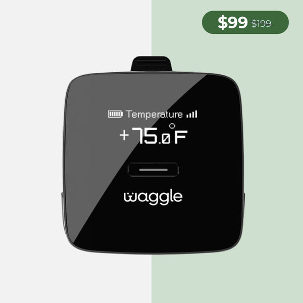 Color_Waggle LITE+