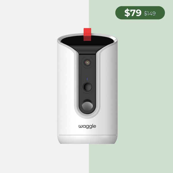 Size_WaggleCam Pro