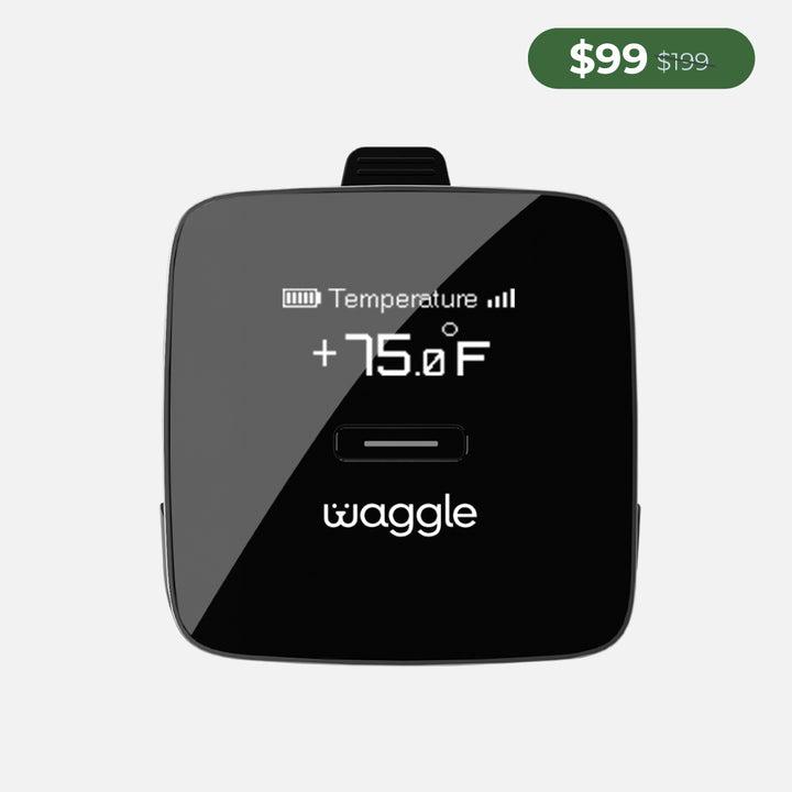 Waggle Pet Monitor