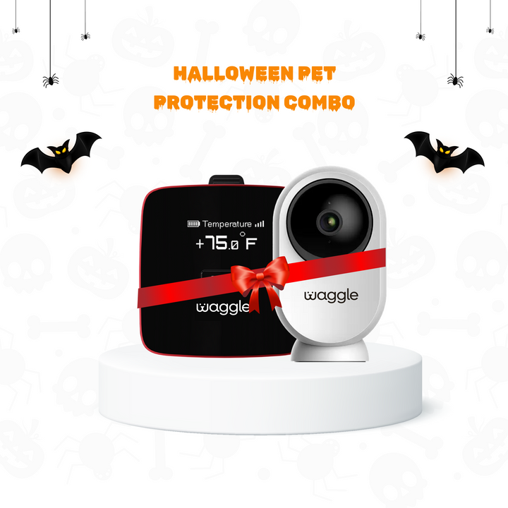 Waggle Pet Monitor and RV Cam AI Mini 64GB