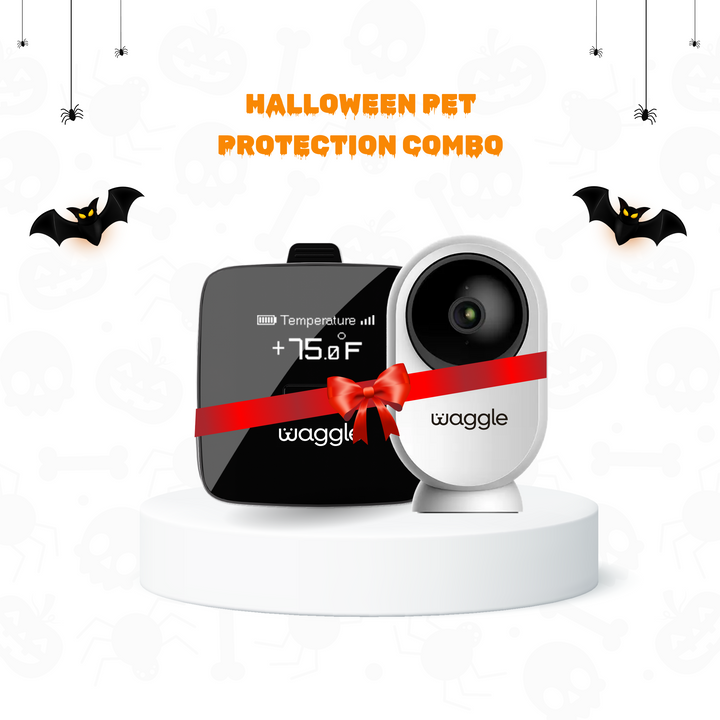 Waggle Pet Monitor and RV Cam AI Mini 64GB