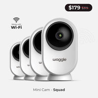 Waggle Pet Camera displaying live video feed with pet and home monitoring features in a modern setting.