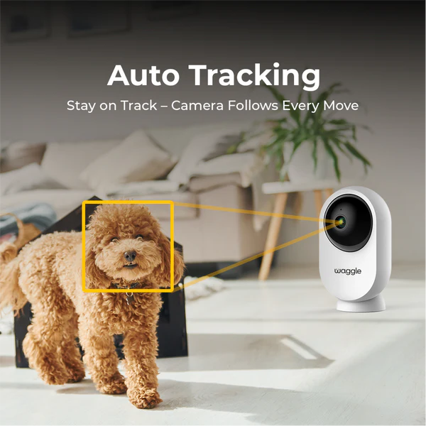 Waggle Pet Monitor and RV Cam AI Mini 64GB