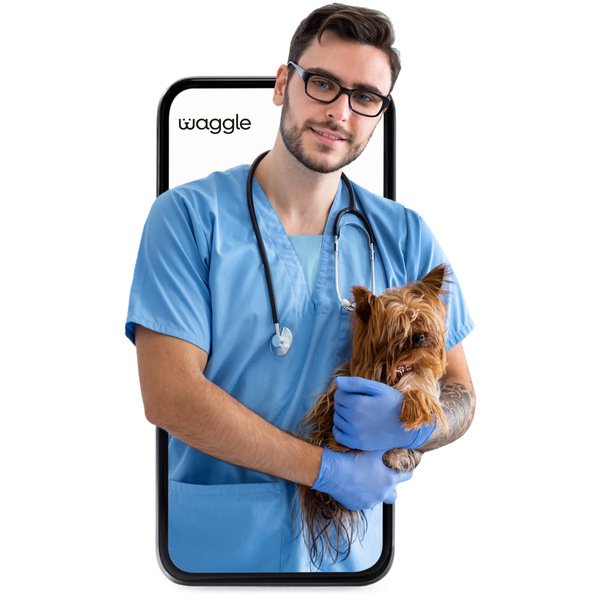 VetChat