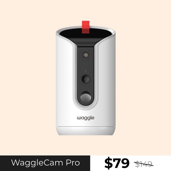 Size_WaggleCam Pro