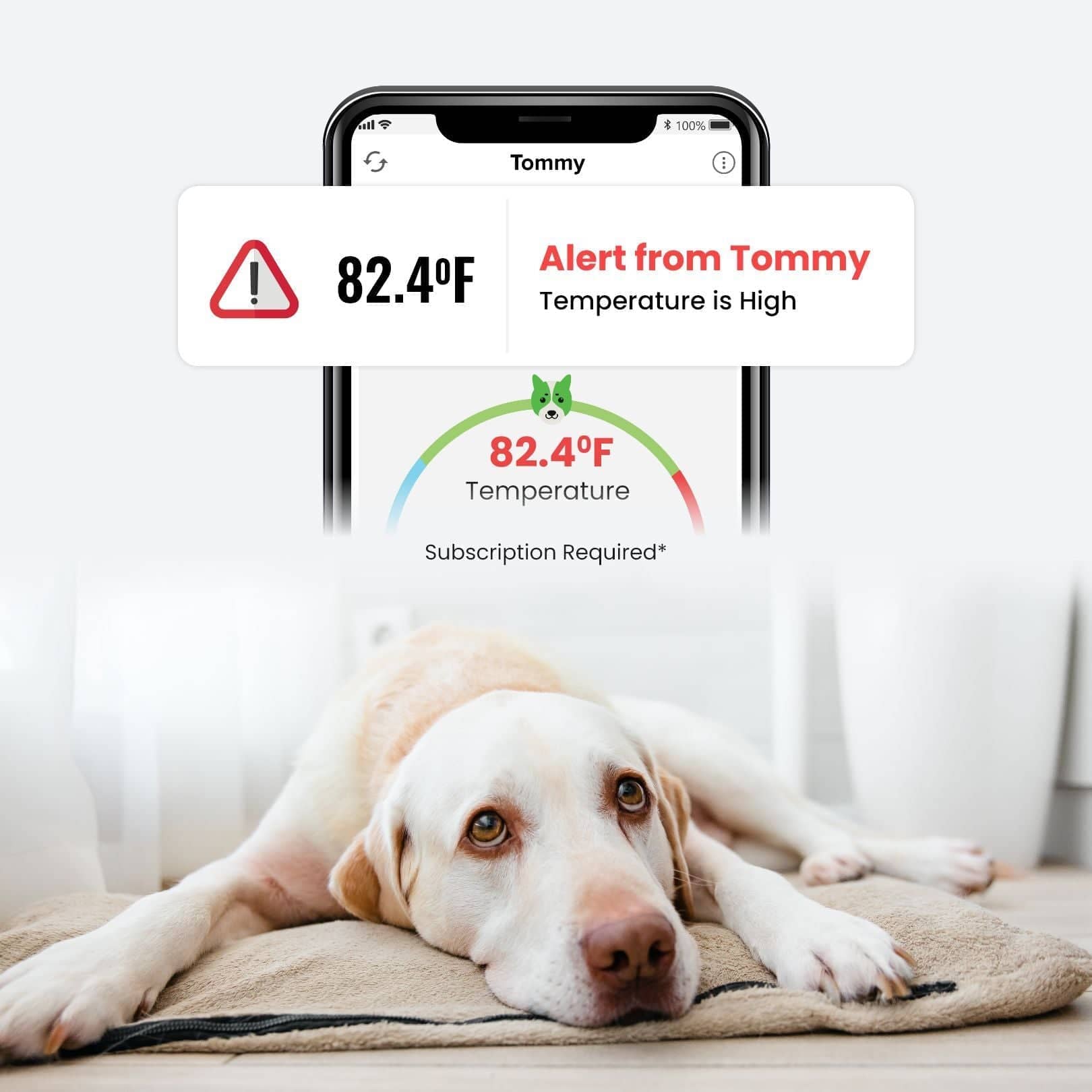 Waggle Pet Safety Monitor Pet RV Monitor Waggle®