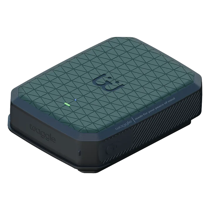 Waggle Satellite Monitor device