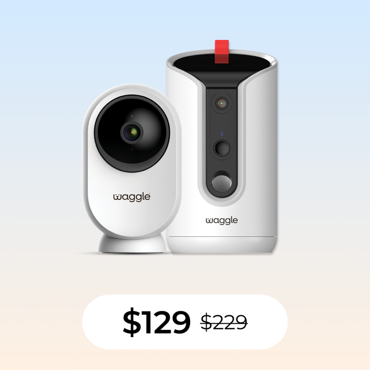 Watch and Wander Bundle
