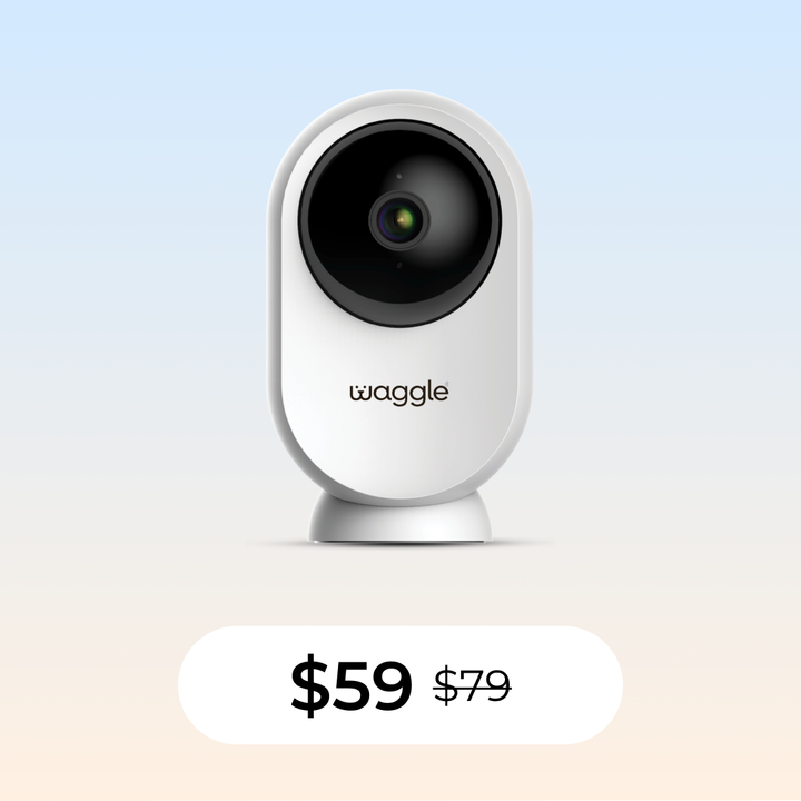 Watch and Wander Bundle