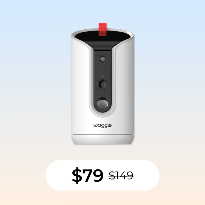 Watch and Wander Bundle