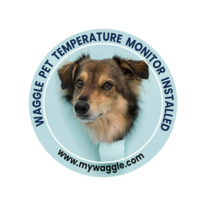 Waggle Safety Tag - Waggle