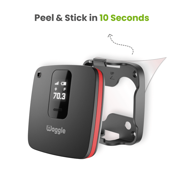 Waggle Safety Tag - Waggle